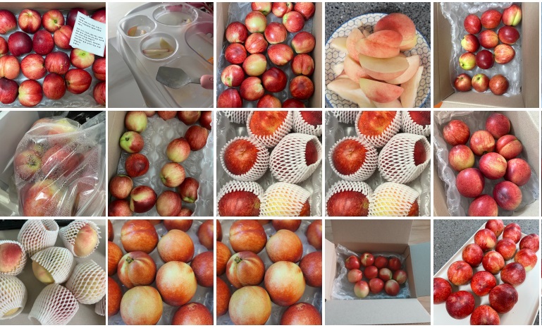 6시내고향-영천-대극천-복숭아-그리미농원