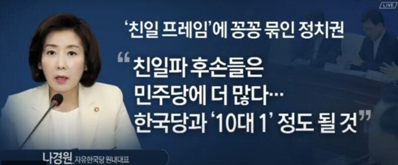 나경원 전 의원 군함도 관련 유네스코 의제 채택 실패를 강하게 비판