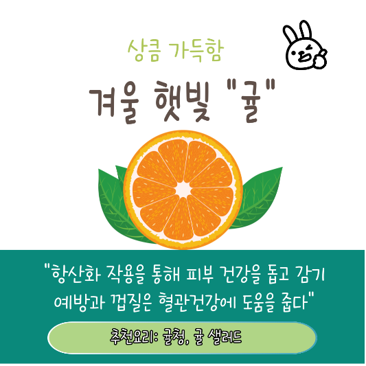 11월 12월 제철음식 추천