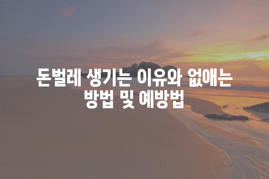 샘플 (77)
