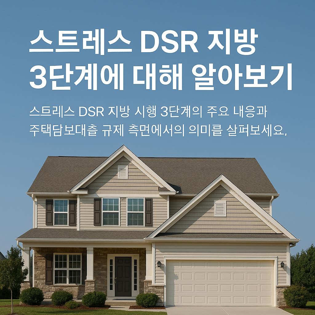 스트레스 dsr 지방