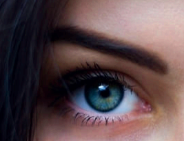 눈에 날파리 현상