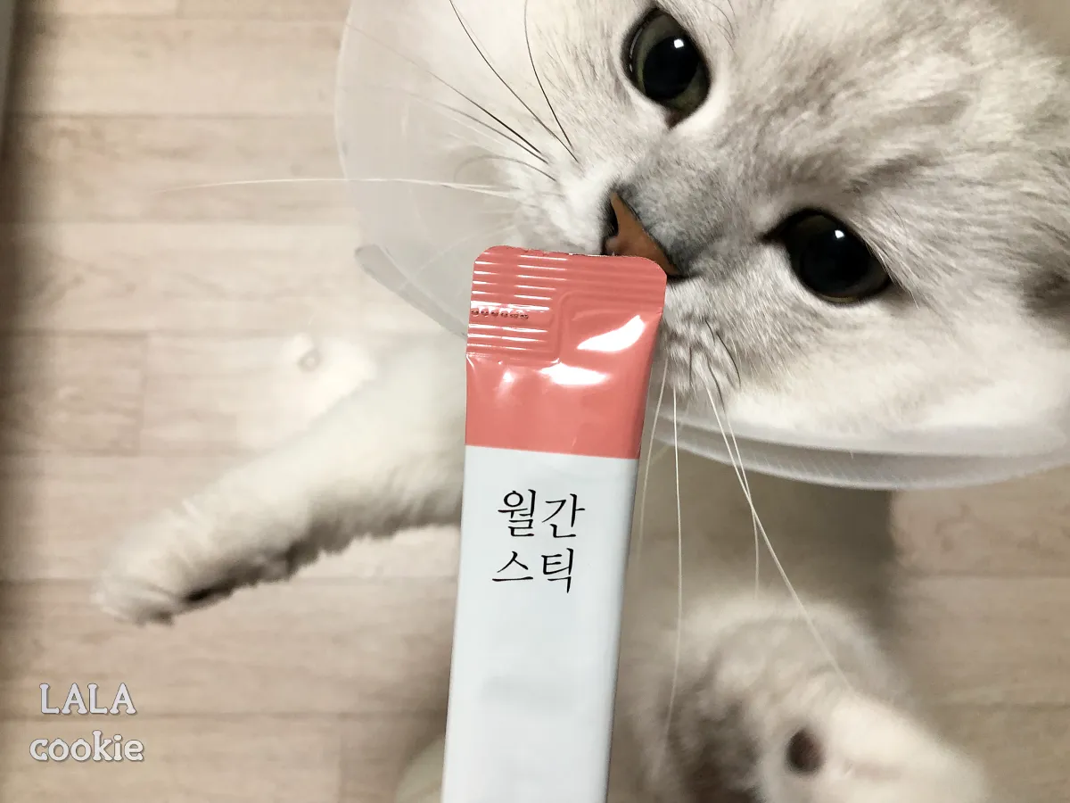 고양이-간식-추천-짜먹는-츄르와-고양이