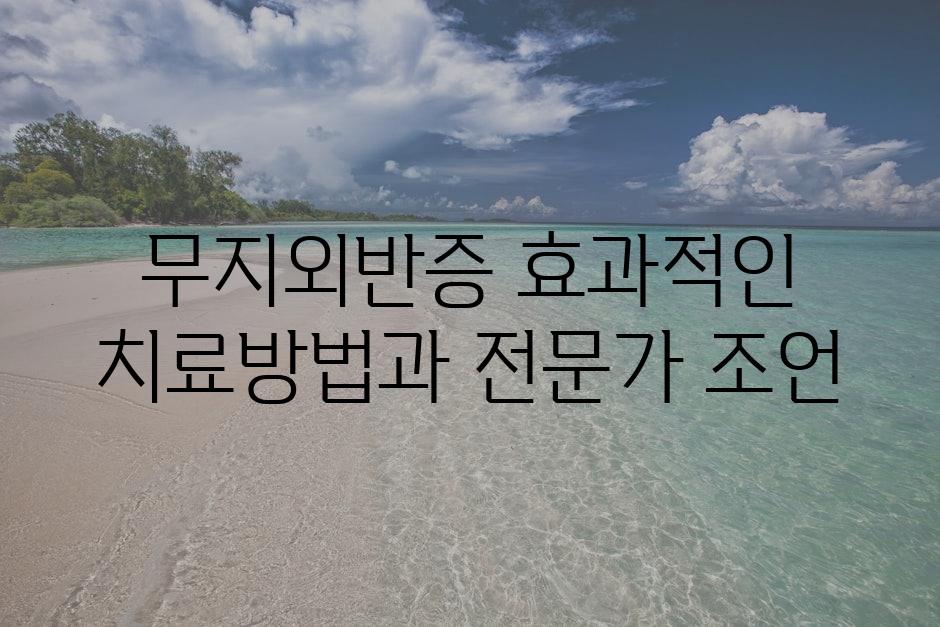샘플 (2)