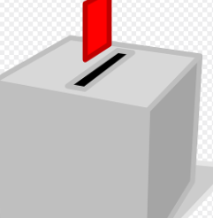 미국 대선 결과 확정 발표 날짜 시간 2024