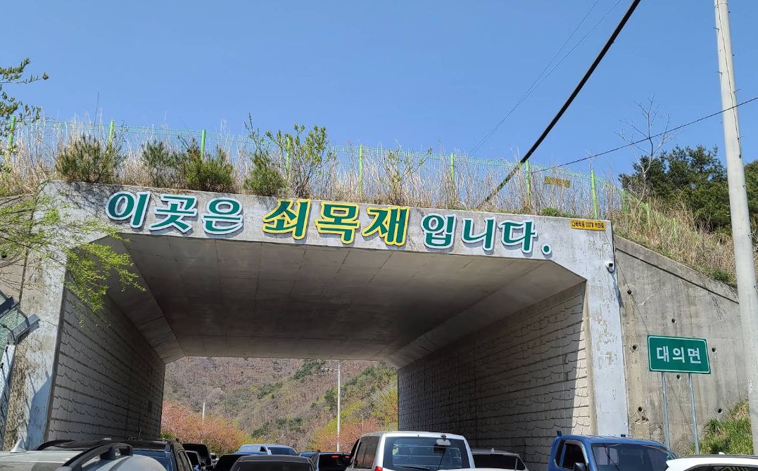 쇠목재