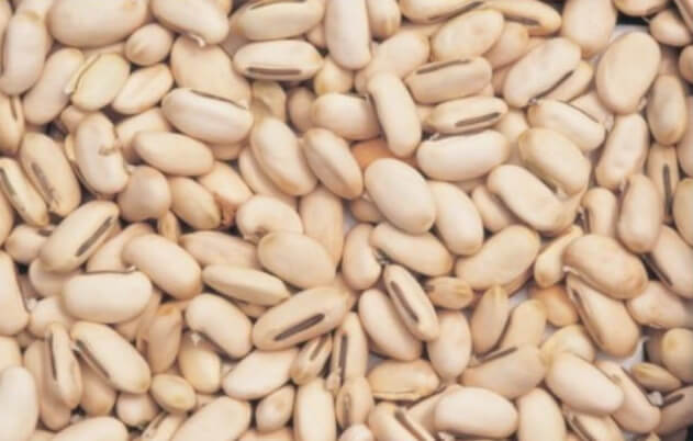 작두콩차 효능