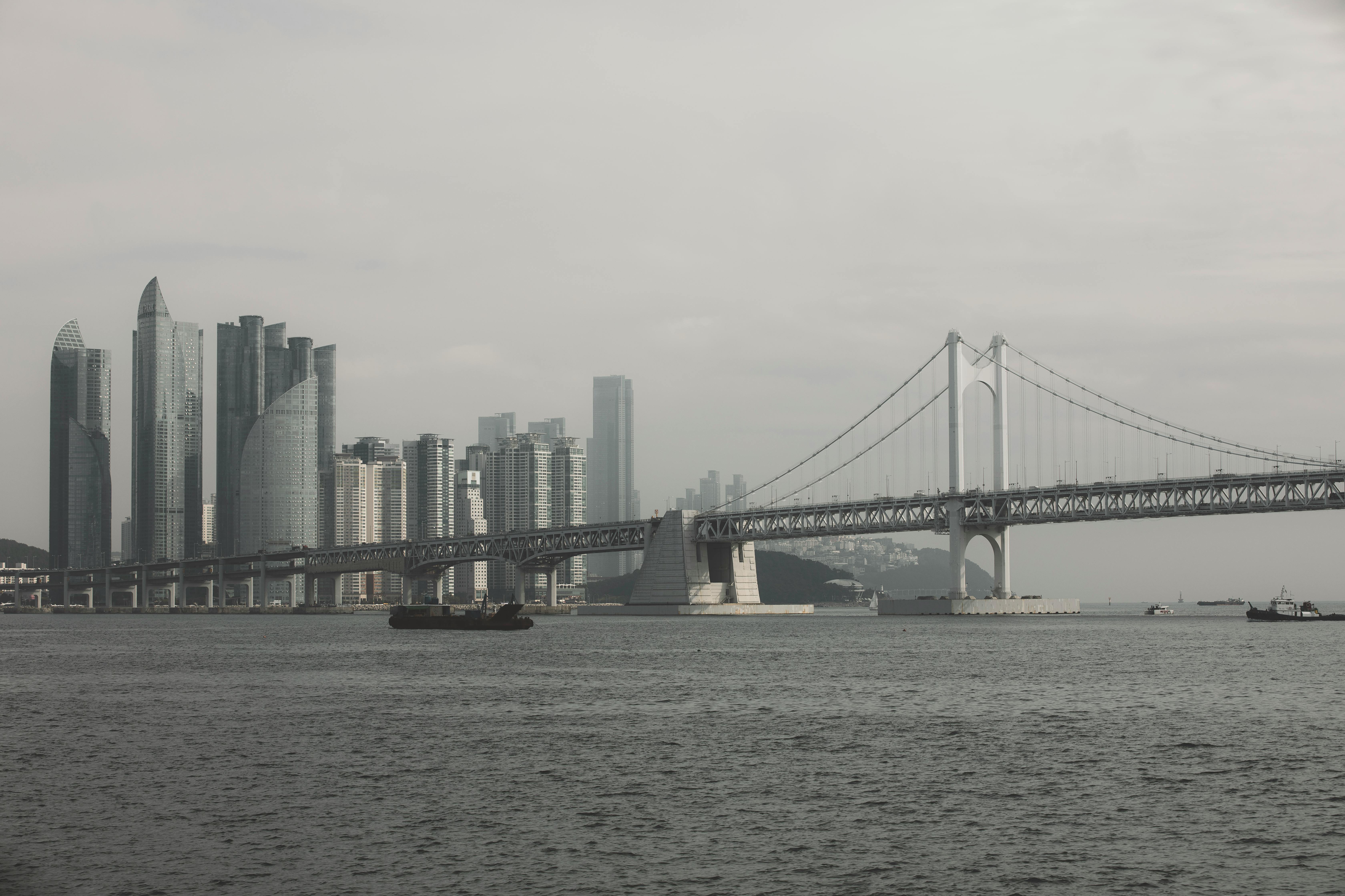 부산 시티투어버스 가격, 노선도 및 예약하기(2024년)