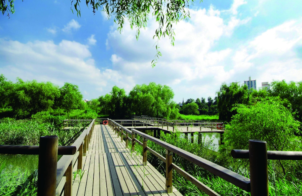 영등포 여의도 봄꽃축제 2025 맛집 주차 꿀팁정리