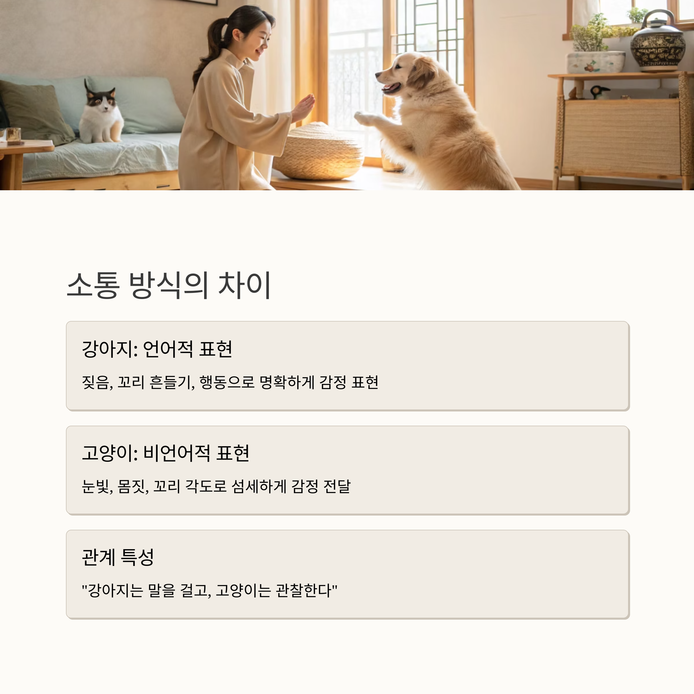 소통 방식의 차이