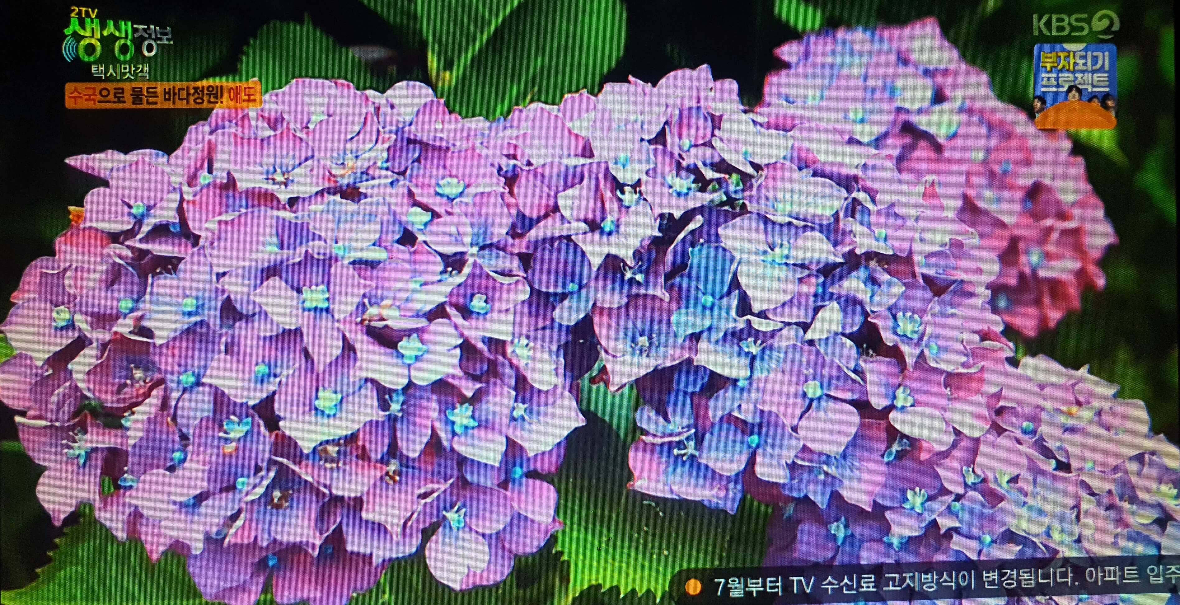 전남 고흥 가볼만한 곳 BEST 3