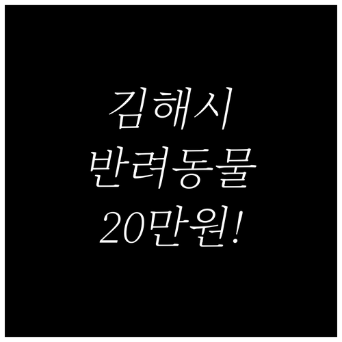 김해시 반려동물 진료비 및 수술비 지..