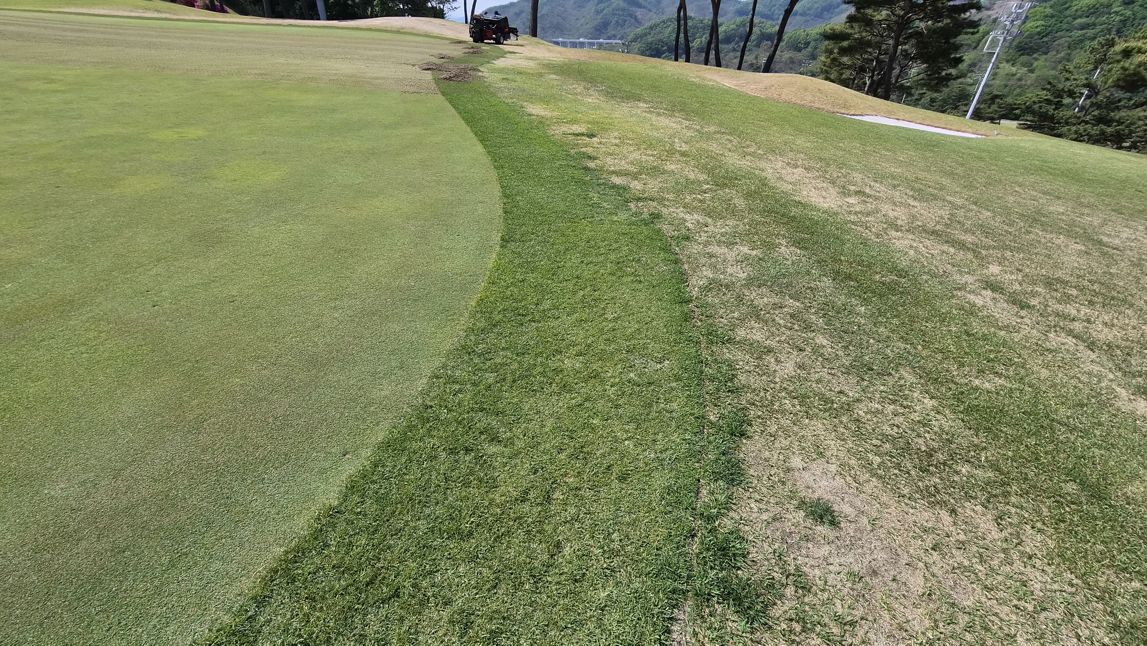 포웰cc 프린세스 라운드 후기