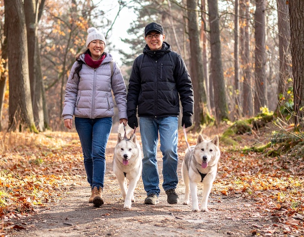 노인이 반려견과 함께 조용히 산책하는 모습