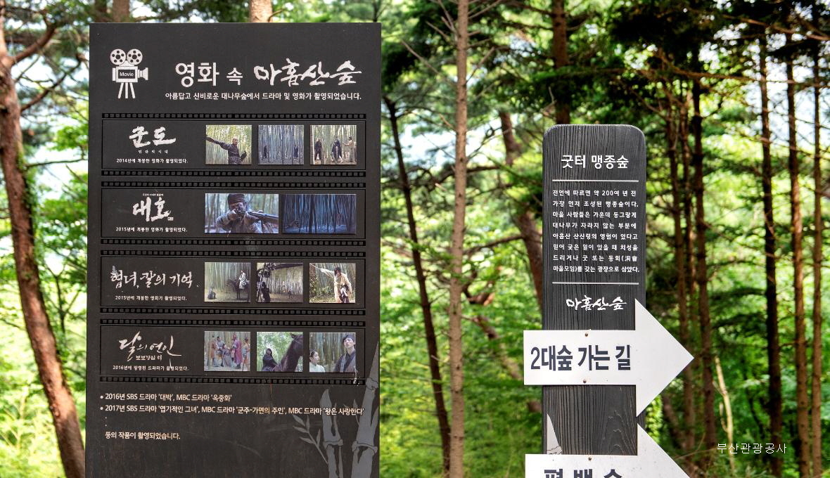 아홉산