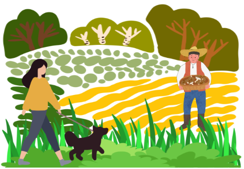 중증열성혈소판감소증후군(SFTS)