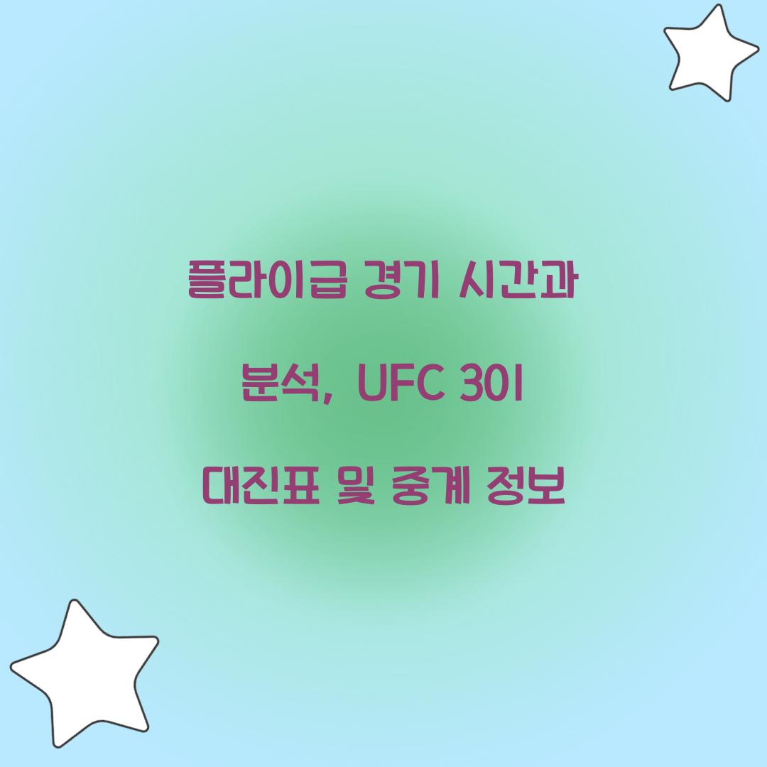 플라이급 경기 시간