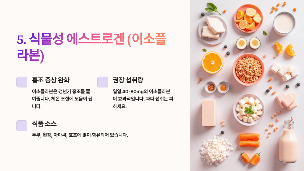 5. 식물성 에스트로겐 (이소플라본)