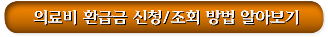 3. 의료비 환급금 신청/조회 방법 알아보기