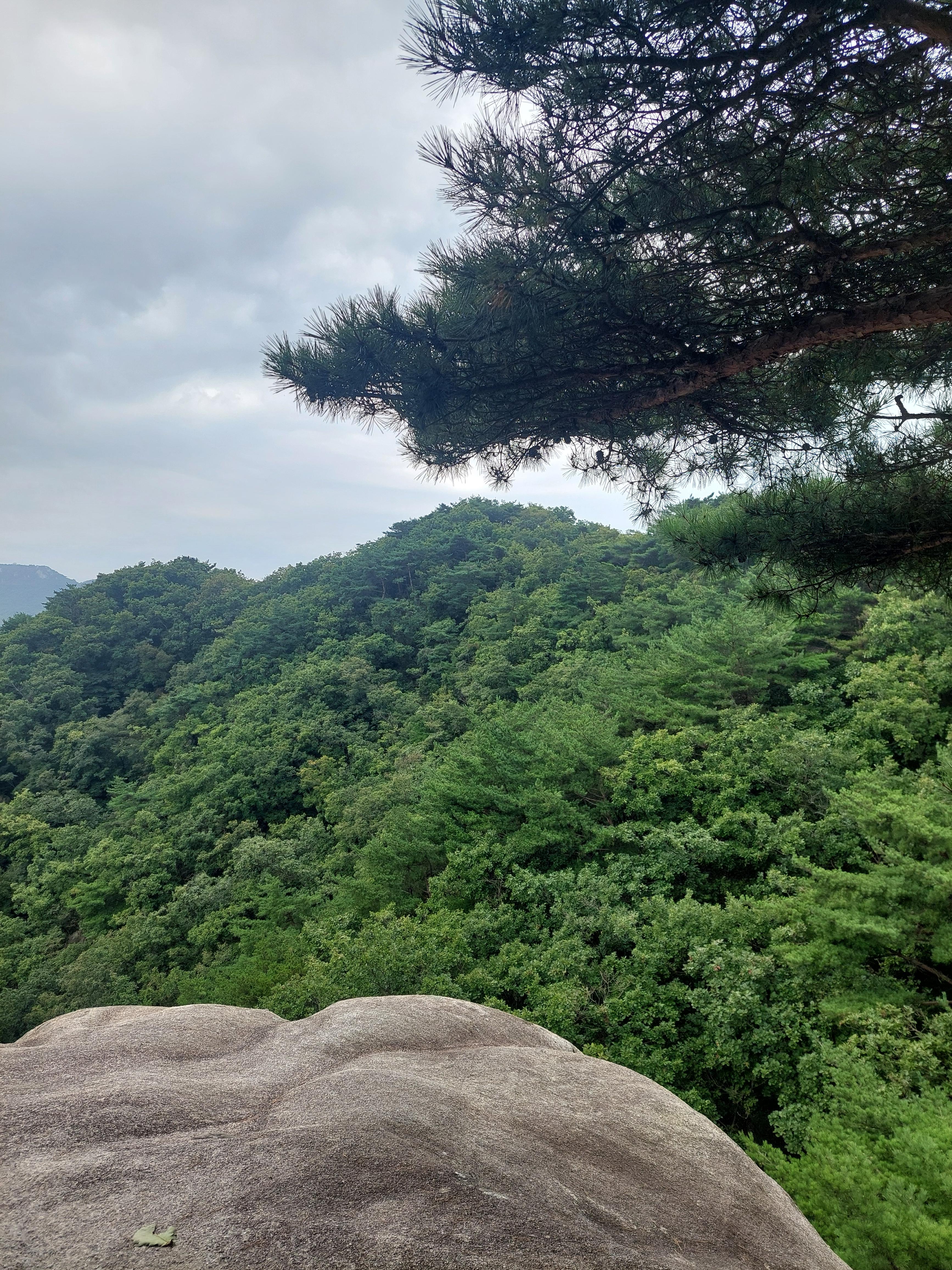 사패산
