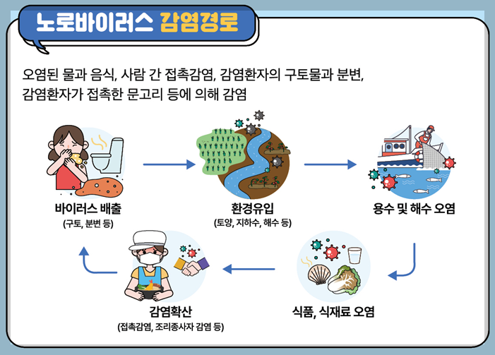 노로바이러스 발생 주요 원인(감염경로)