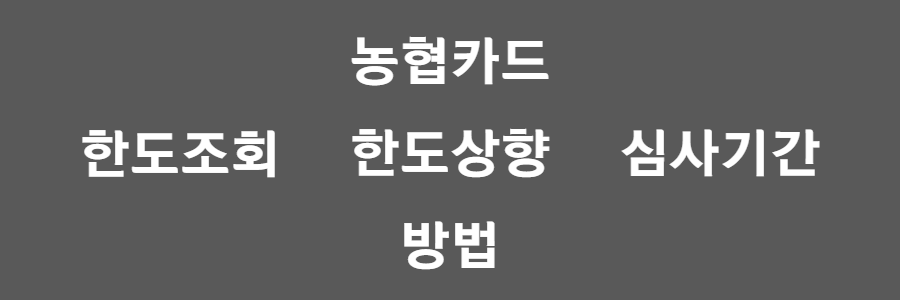 농협카드 한도상향 방법