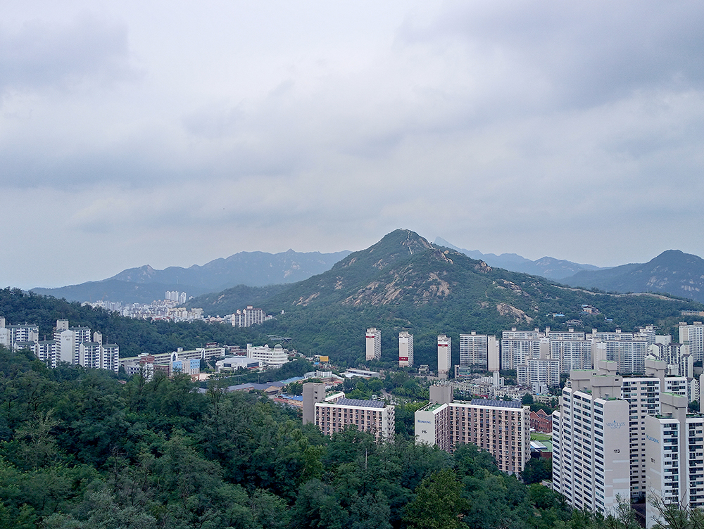 안산자락길과 영천시장 나혼자 걷기 챌린지