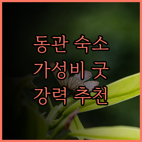 가성비 최고 동관 탕시아 Yuehua