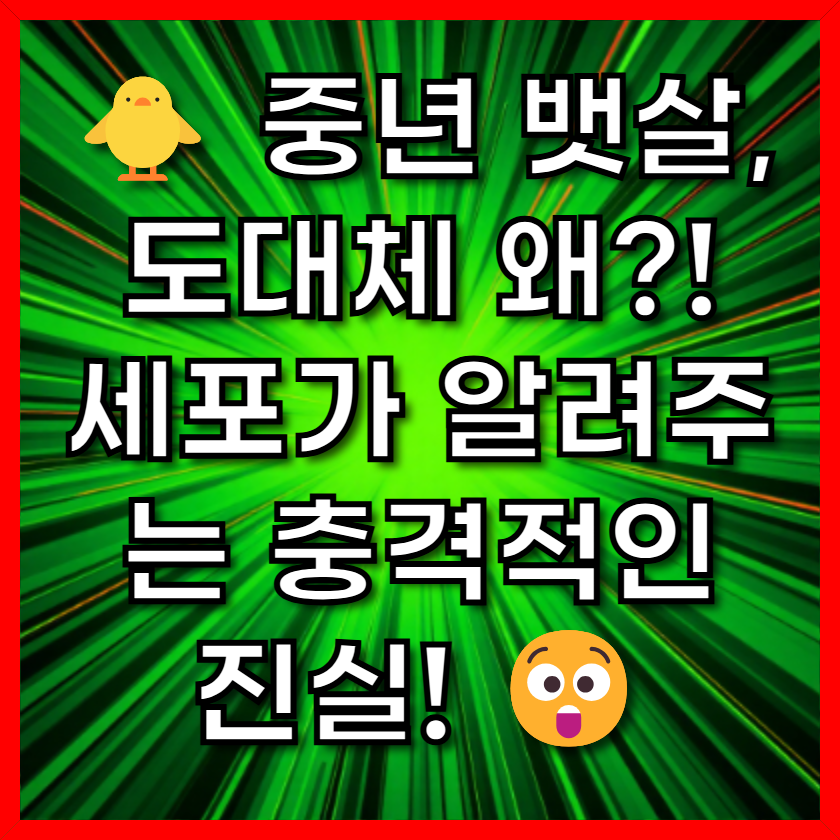 🐥 중년 뱃살, 도대체 왜?! 세포가 알려주는 충격적인 진실! 😲