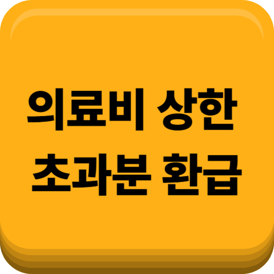 의료비 상한 초과분 환급