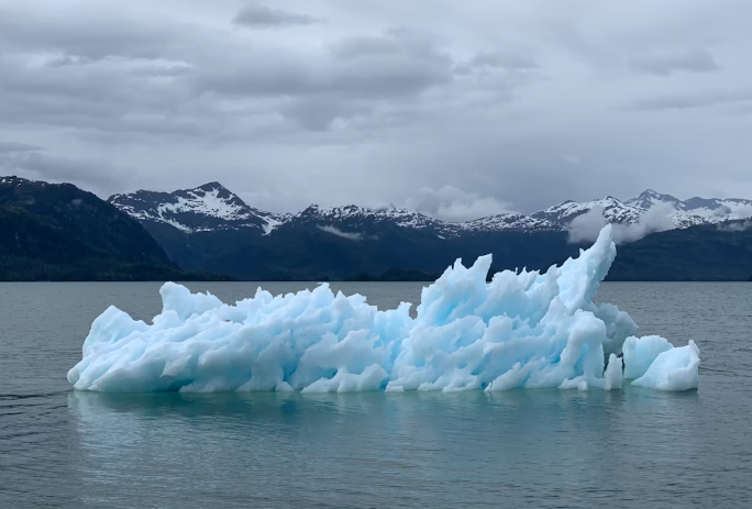 기후 위기 대응, 일상생활에서 실천할 수 있는 작은 친환경 라이프 습관