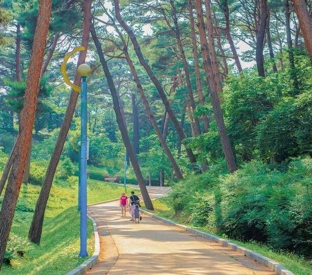 안면도 가볼만한곳 베스트 10