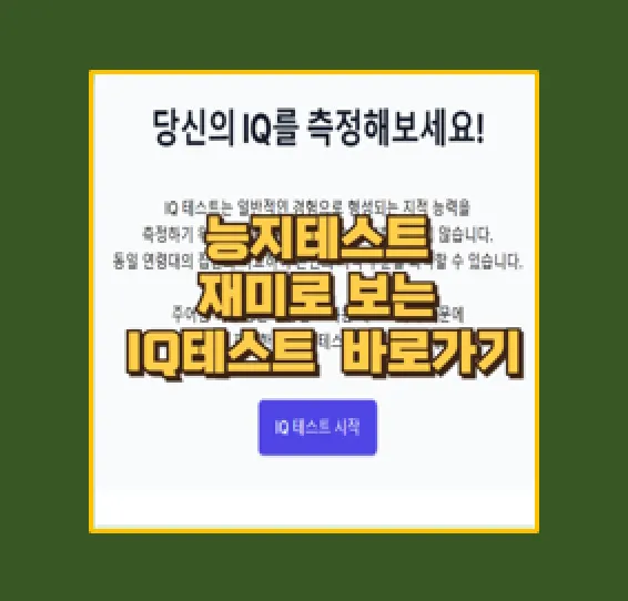 능지테스트