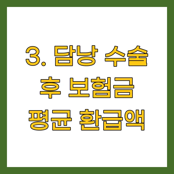 담낭 수술 후 보험금 평균 환급액