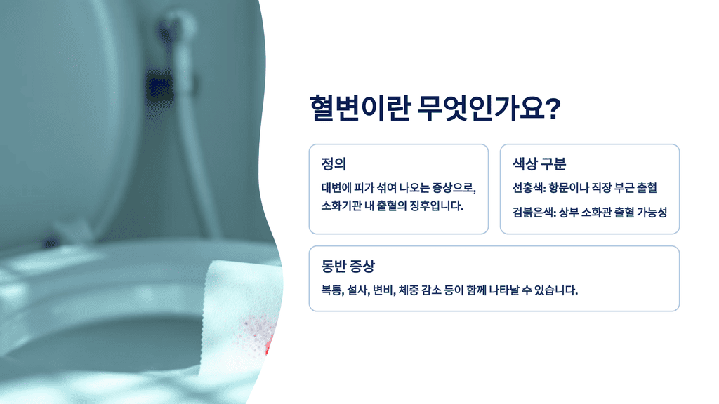 혈변이란 무엇인가요?