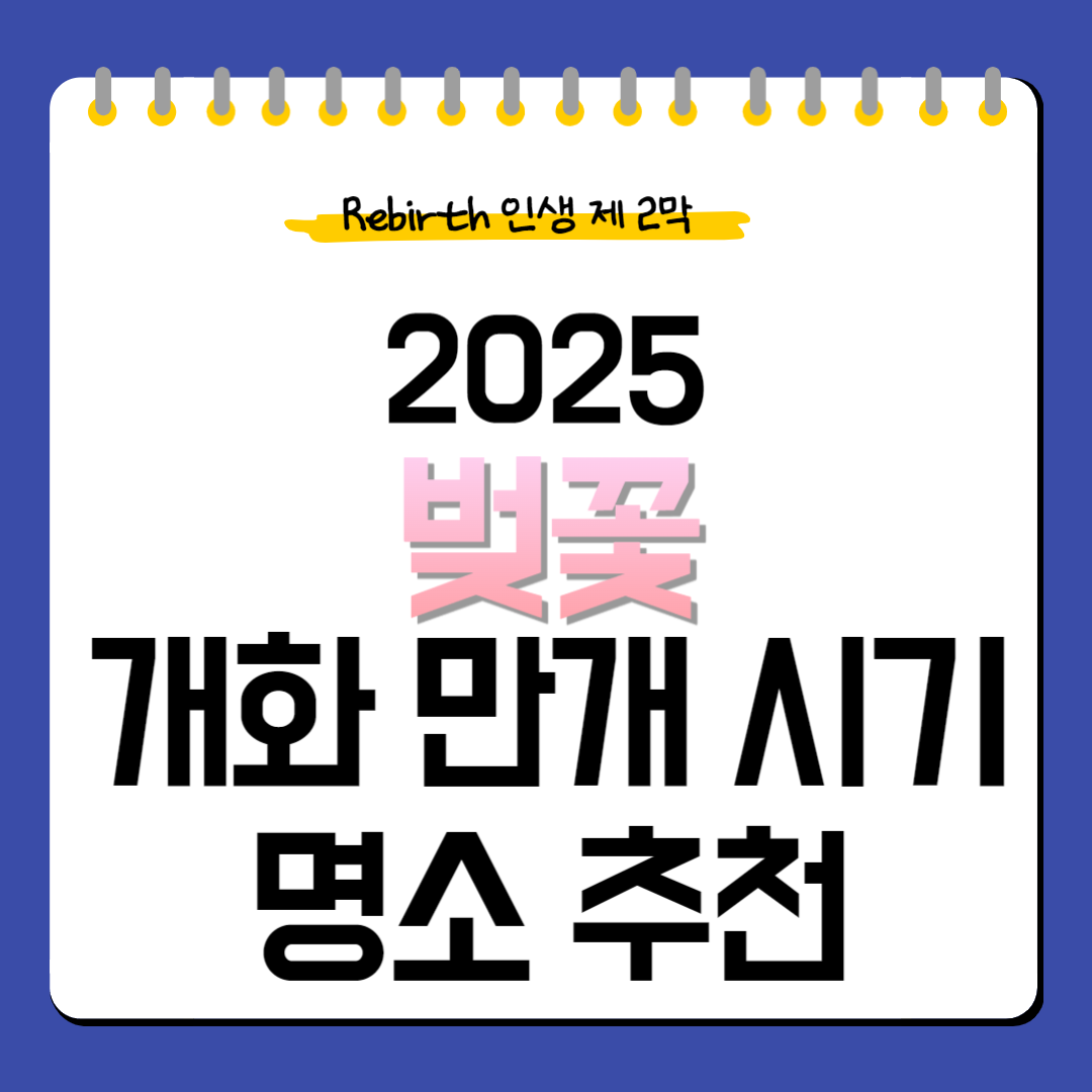 2025-벚꽃-개화만개시기-명소추천