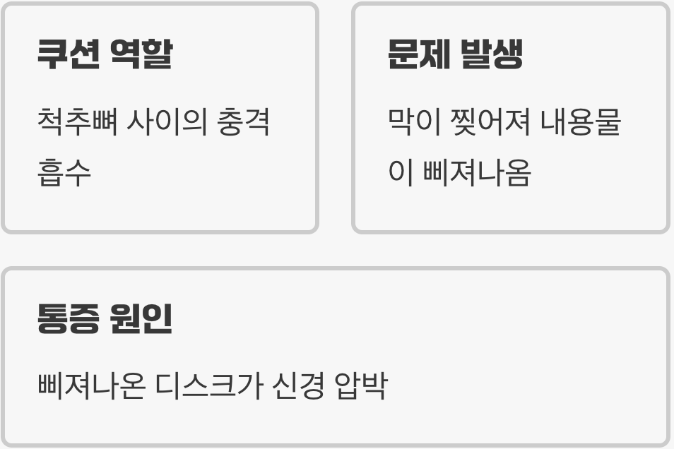 '디스크'는 원래 우리 몸의 착한 쿠션