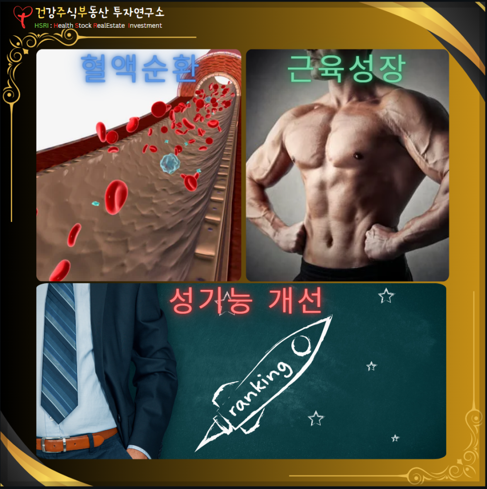 아르기닌 효능 : 혈액순환 근육건강 성기는 개선