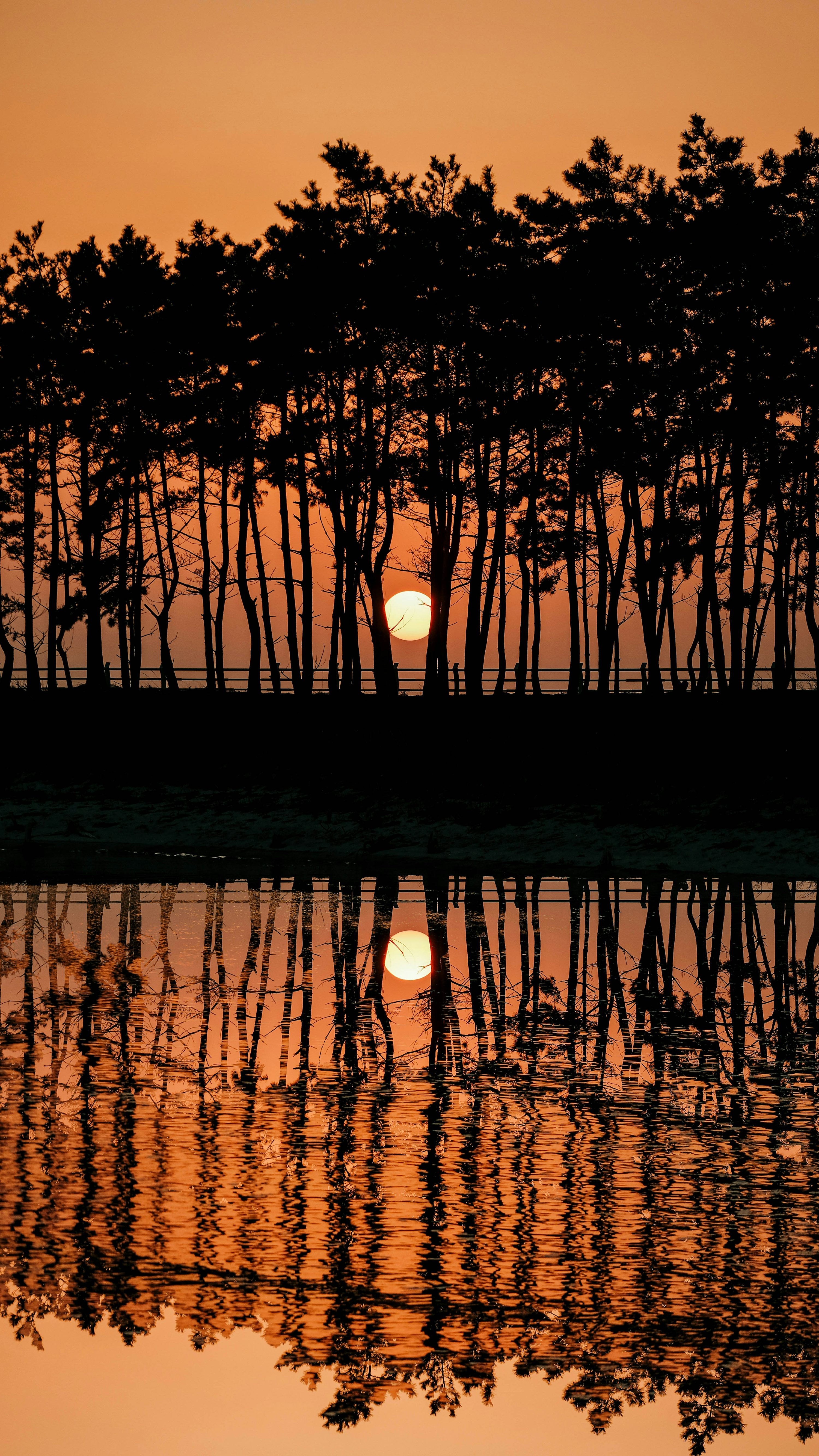 태안 해변