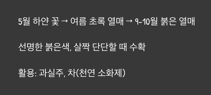 가장 붉은 순간, 수확의 기쁨
