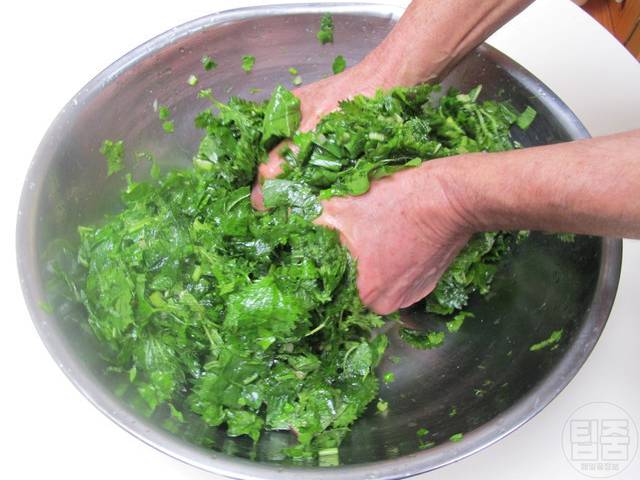 니코틴 빼는음식 쐐기풀 기능성 자연식재료 폐암