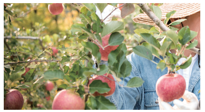 작물재배 종사자-하는일-업무환경-되는법-학과-전망