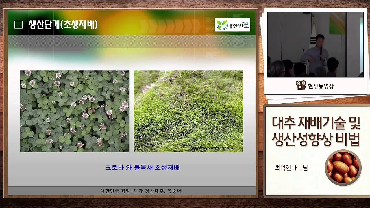 대추 재배 개화기 관리 봉지 씌우기 열매 터짐 예방_5