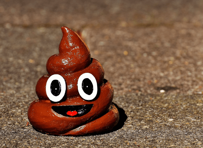 똥 먹는 꿈 해몽 풀이