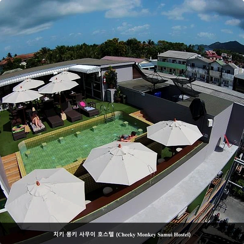 치키 몽키 사무이 호스텔 (Cheeky Monkey Samui Hostel)_3