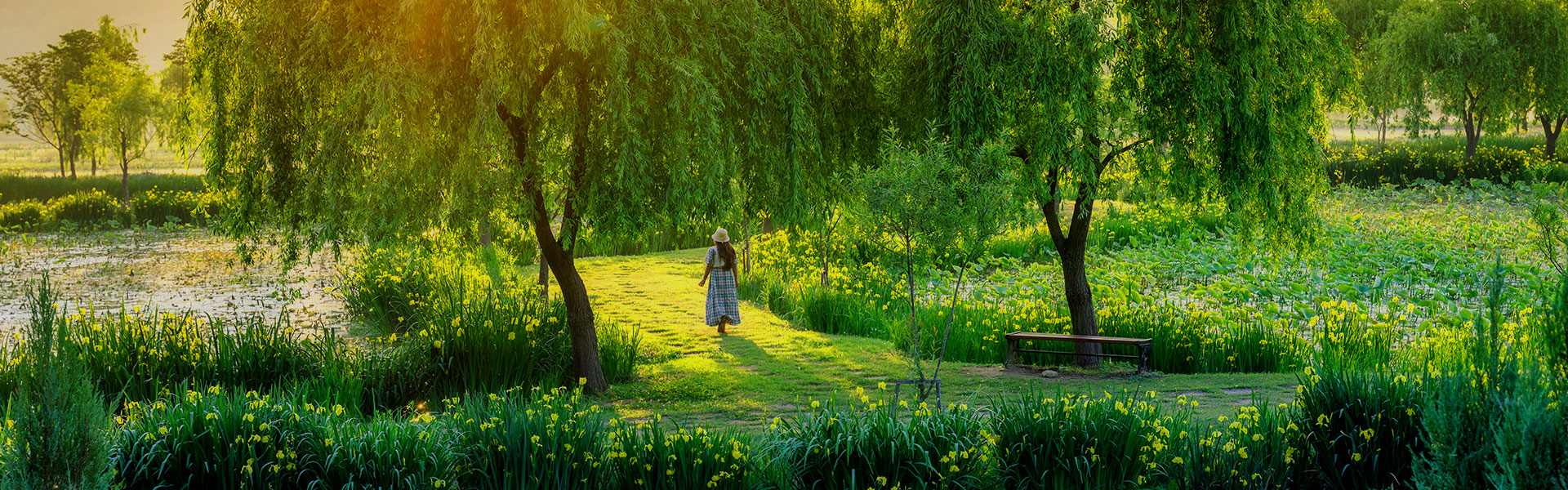 [5월 축제]창포원❘2025 거창에 온 봄 축제, 아리미아꽃축제,거창한 산양삼 축제