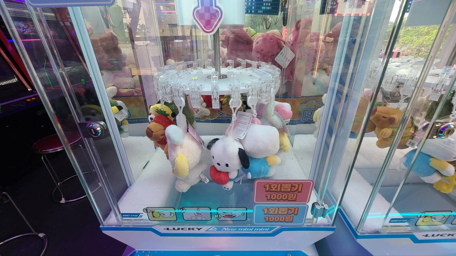 봅기