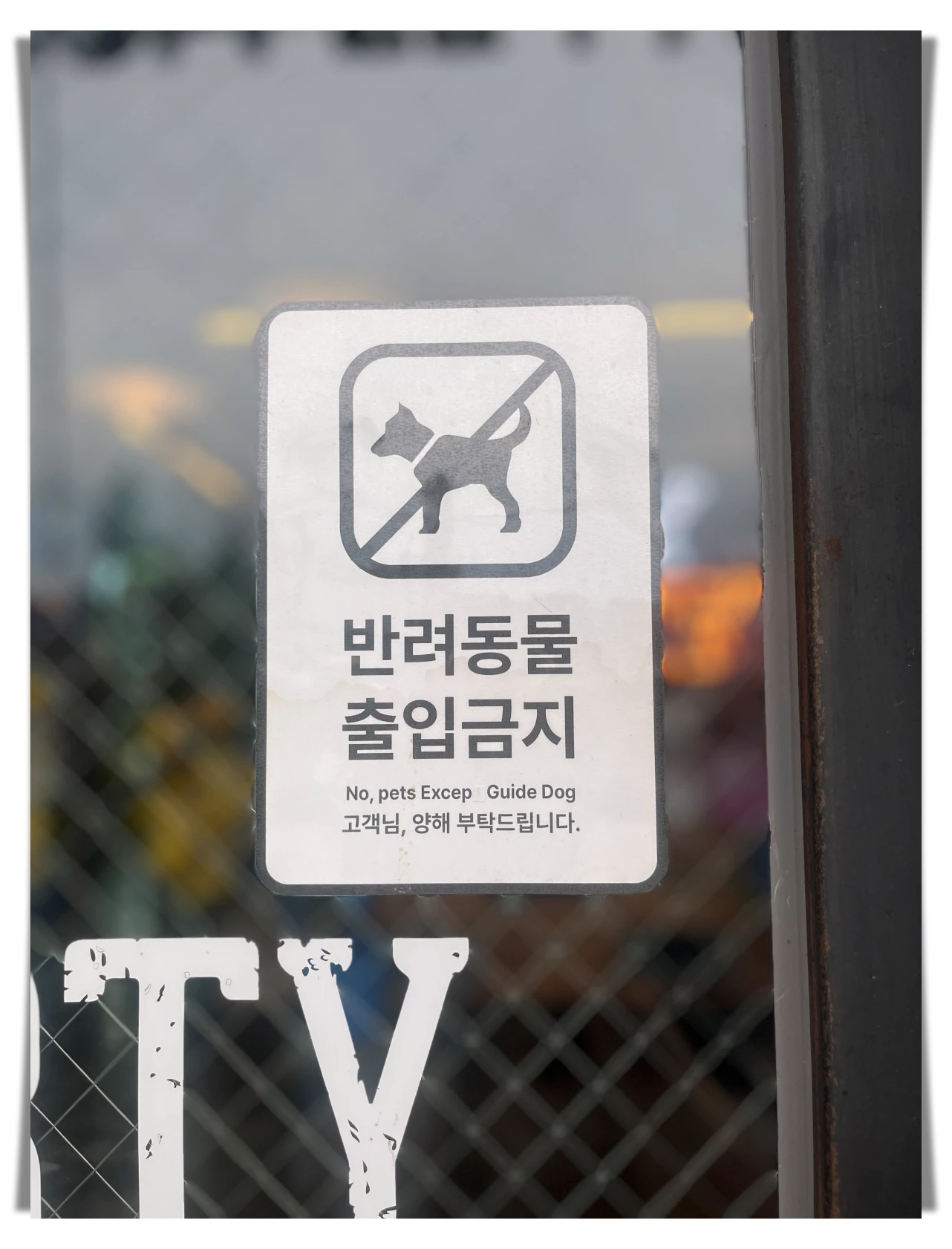 더티트렁크-반려동물-금지