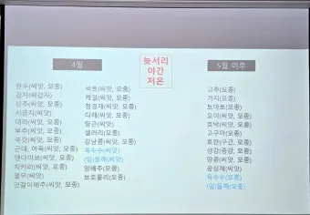 파종 도구 선택 파종기 호미 삽 흙손 사용 팁_27