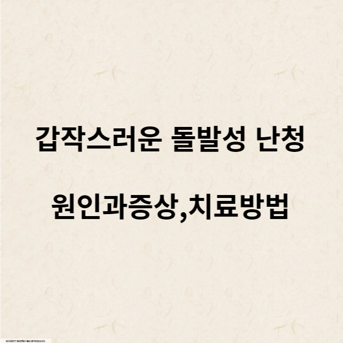 돌발성 난청 원인과증상&#44;치료방법